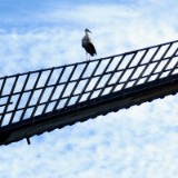 2508G 23 Bothmer Muehle